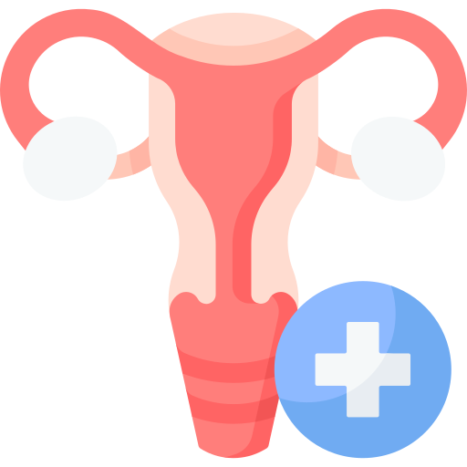 Gynecology and Obstetrics Care Icon