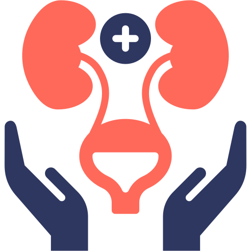 Nephrology (Kidney Care) Icon